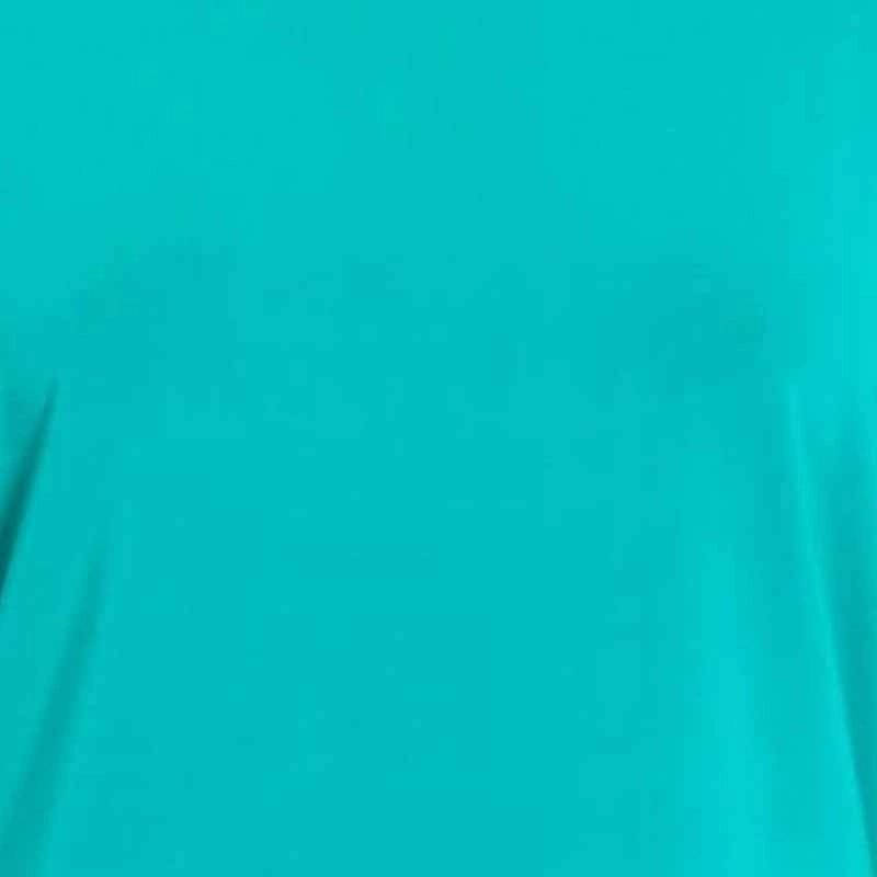 MaxMara T