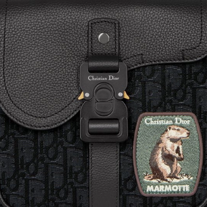 DIOR SaddleOBLIQUE