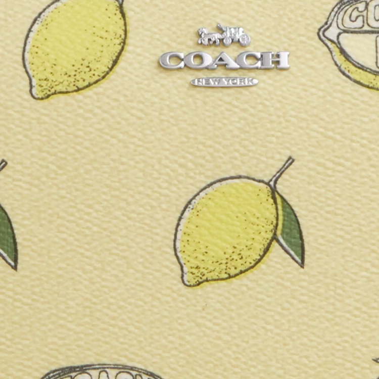 COACH Nolita 19