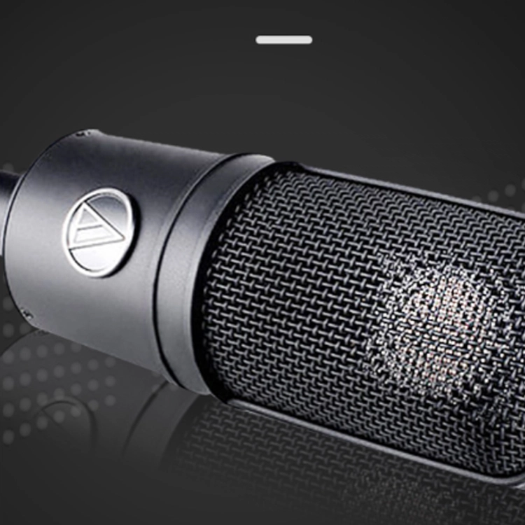 Audio Technica AT4040