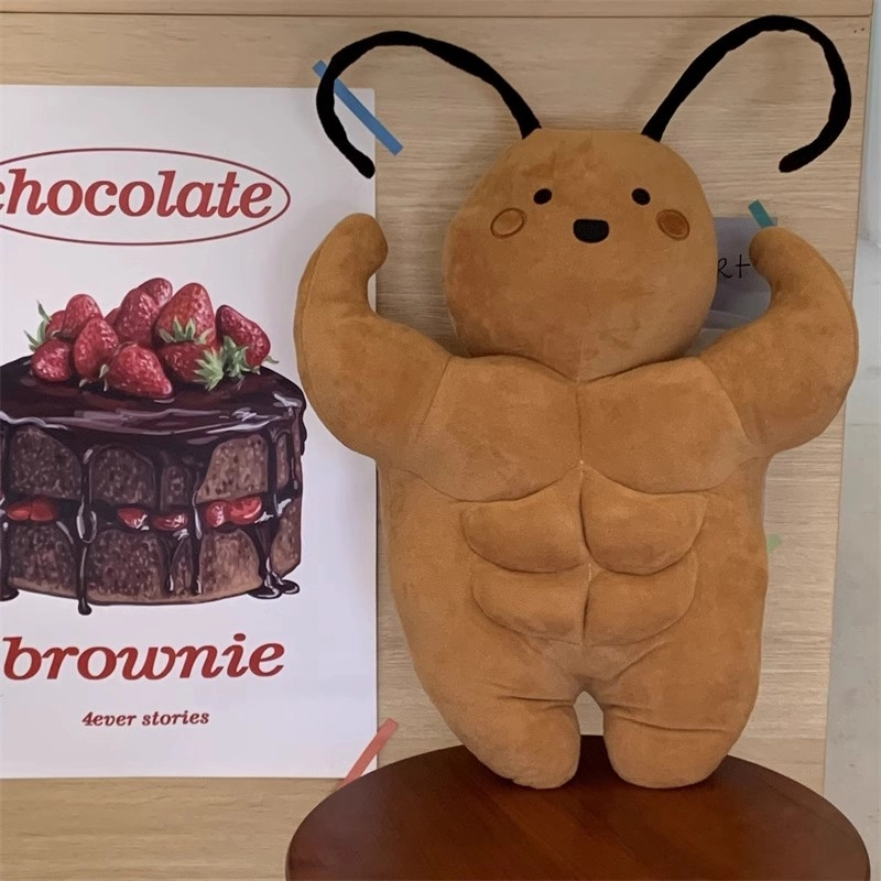 35cm50cm