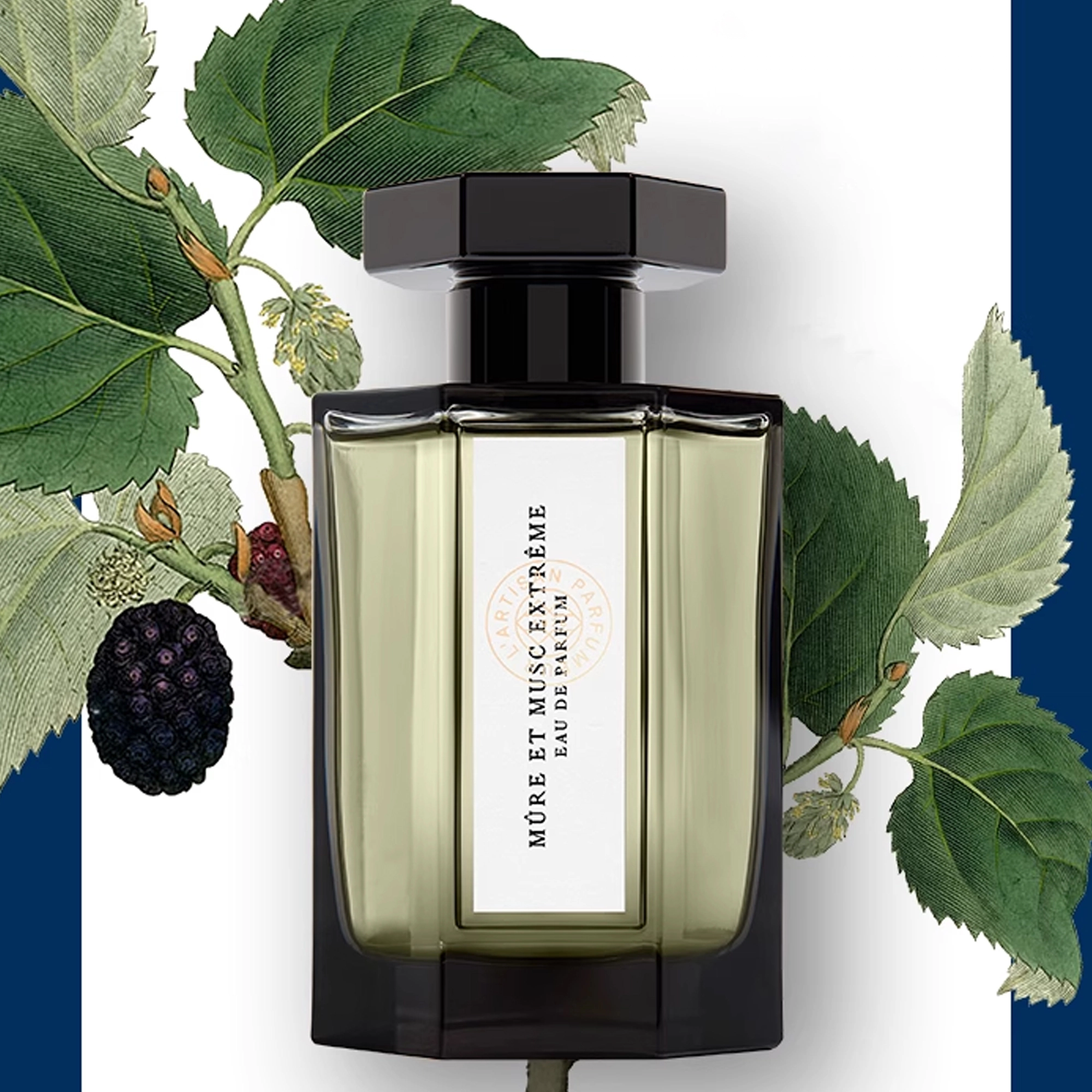 EDT 100ml