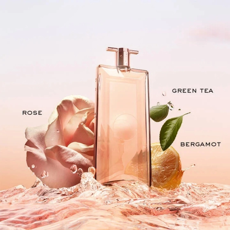 EDT 25ml50ml100ml