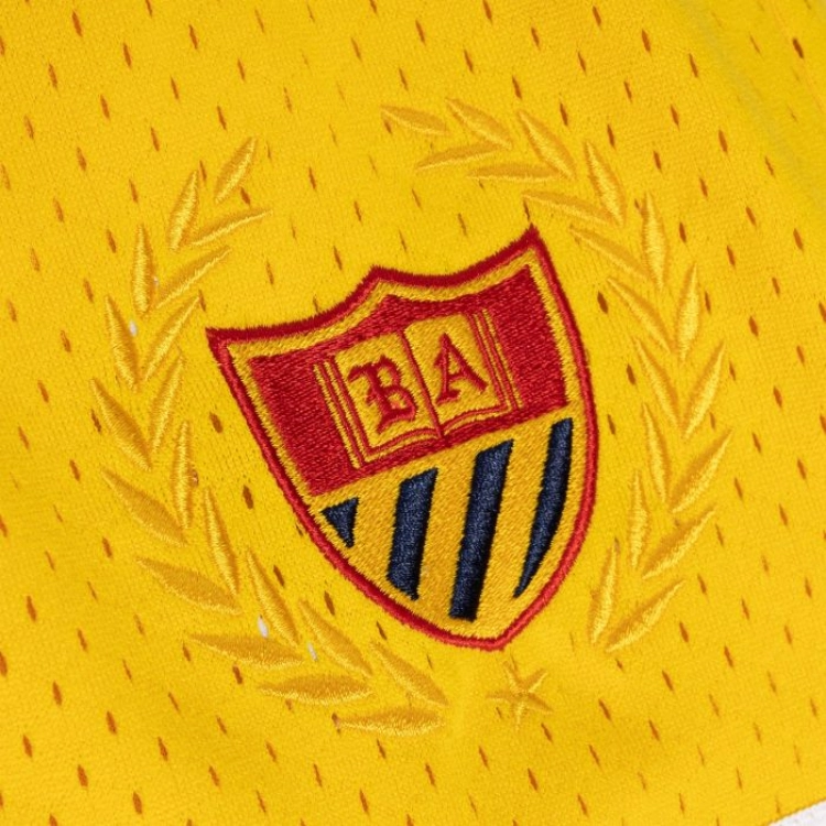 Mitchell Ness Logo