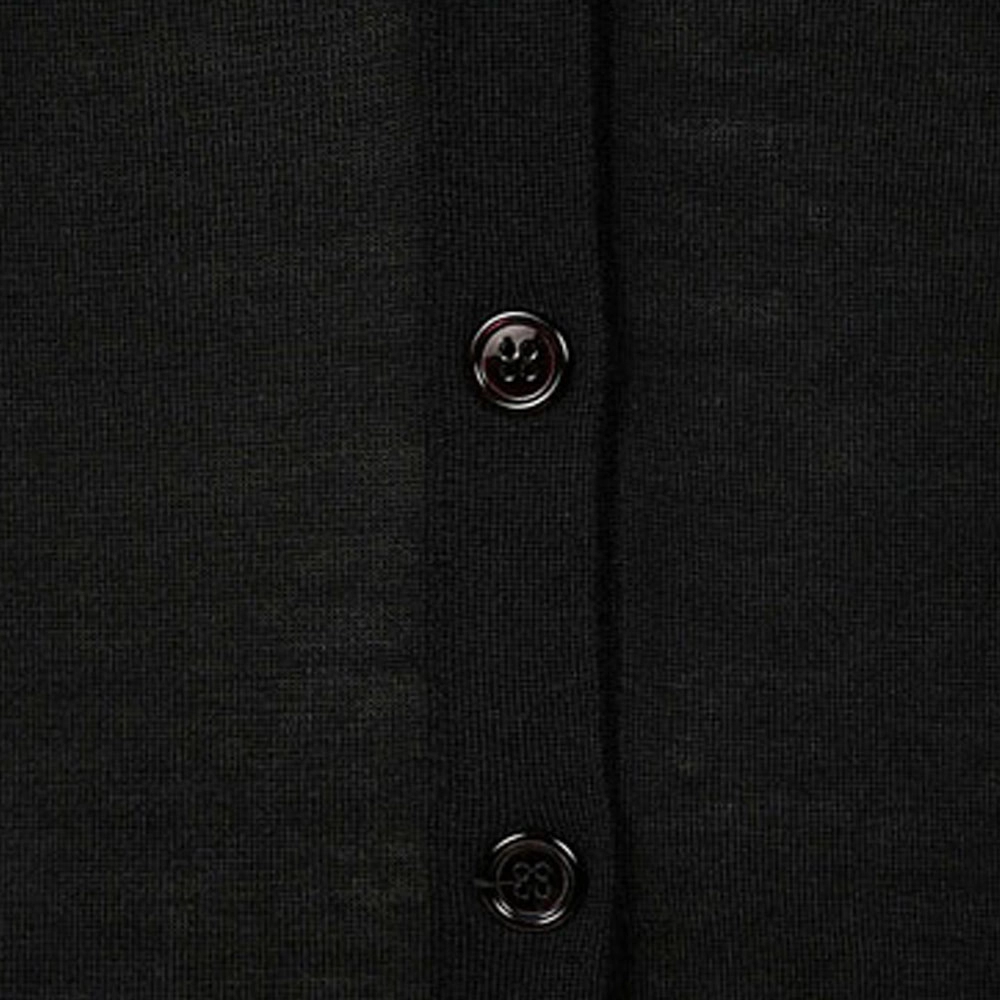 Alexander McQueen V