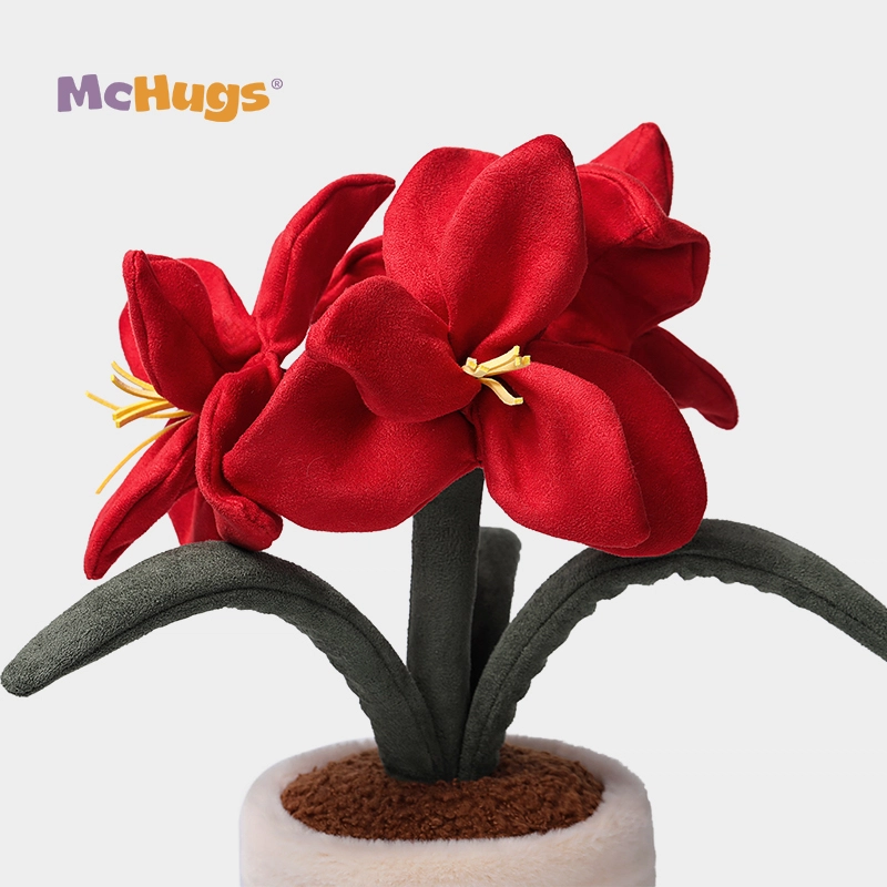 McHugs 36cm