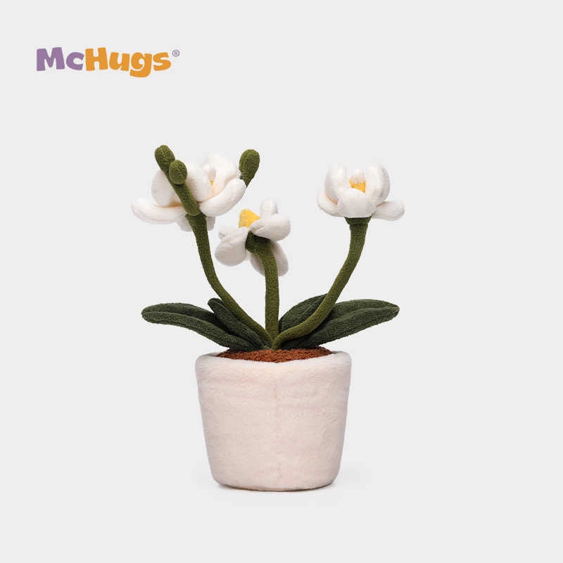 McHugs 26cm
