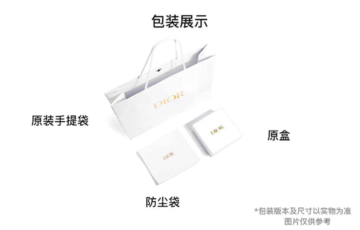 DIOR BookTote Tote