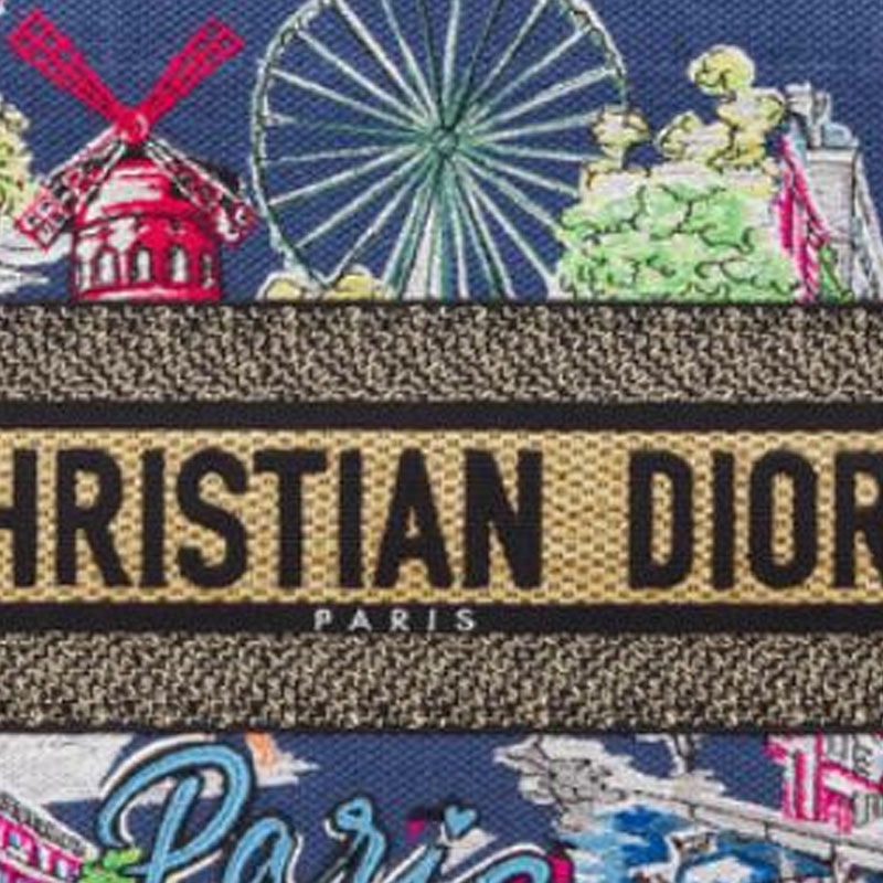 DIOR BookTote Tote