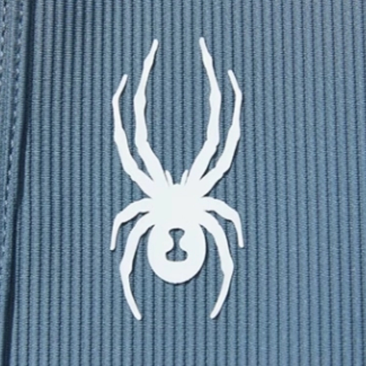SPYDER