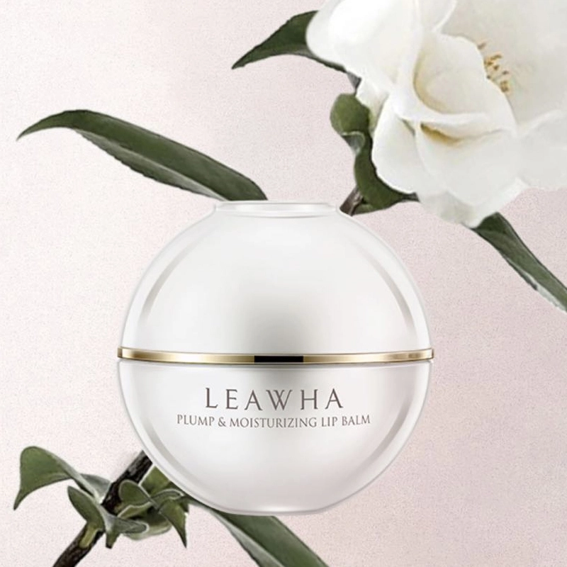 LEAWHA 4g*2