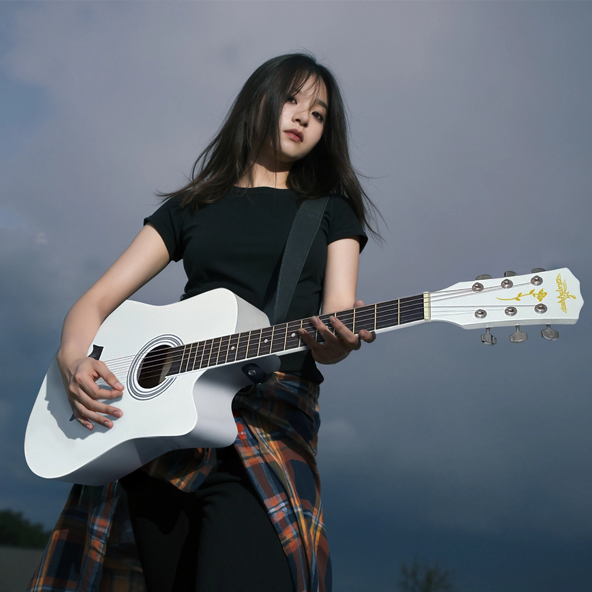 Guitarist V600 3841