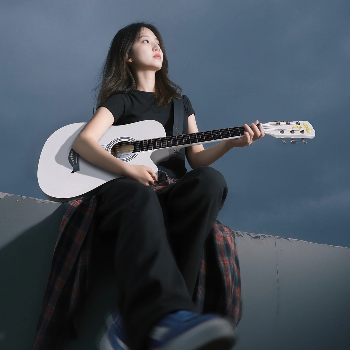Guitarist V600 3841