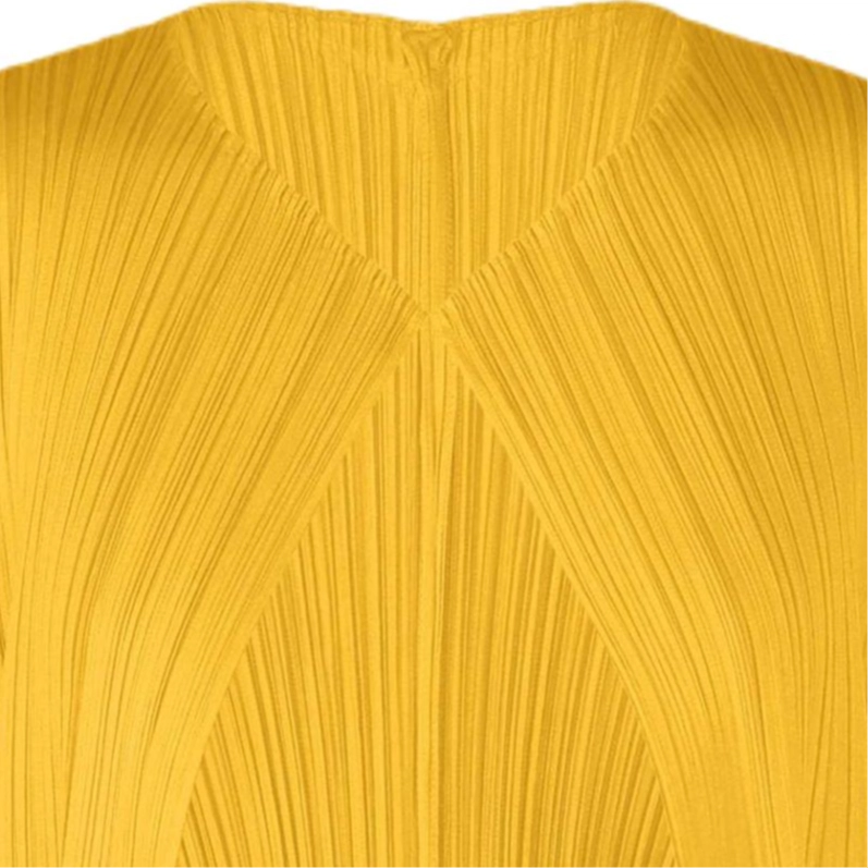 ISSEY MIYAKE FW25 V