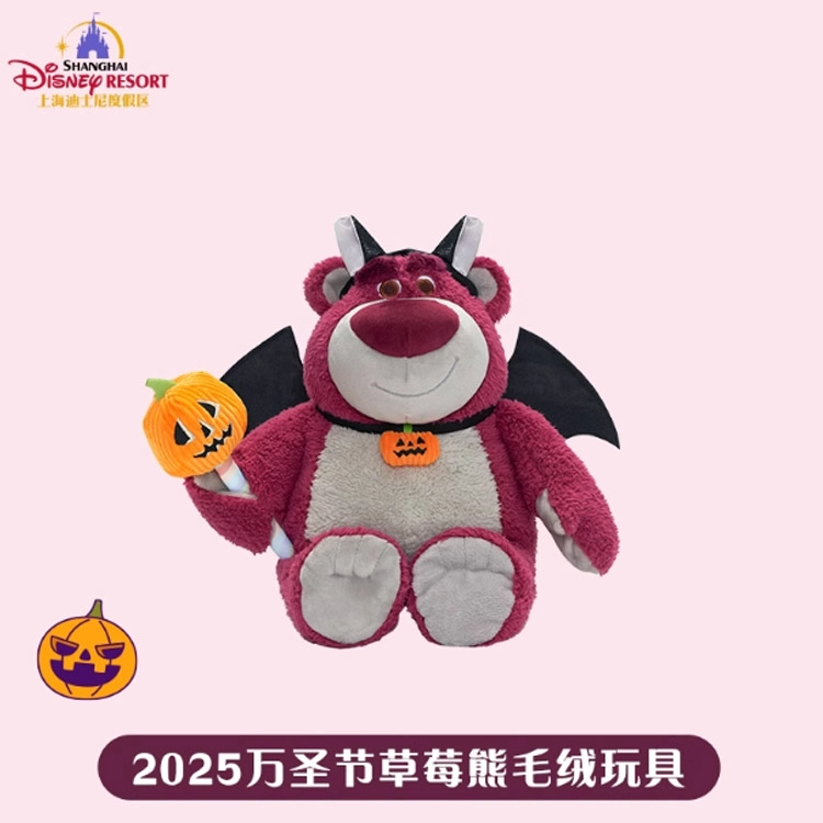 Disney x DISNEYLAND 2025 27.5cm