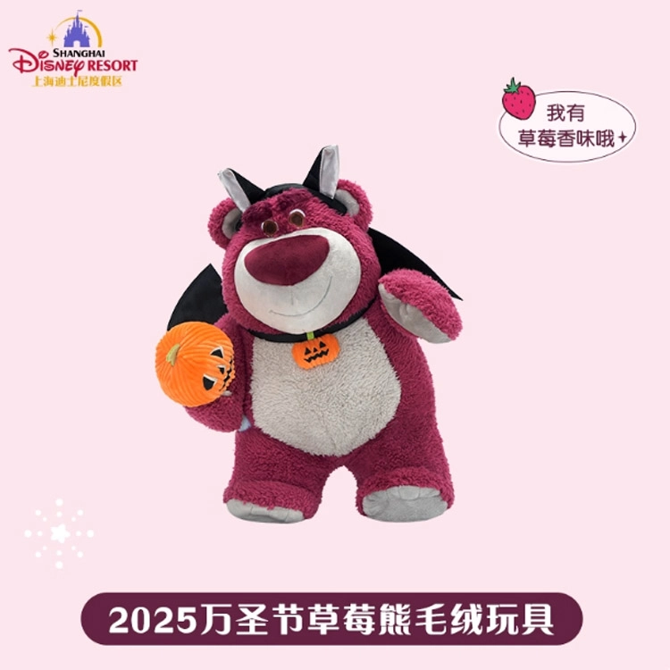 Disney x DISNEYLAND 2025 27.5cm