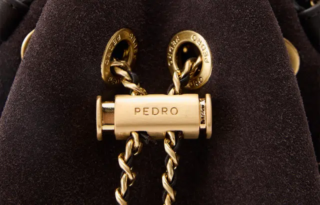 PEDRO Icon