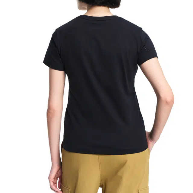 AIGLE T