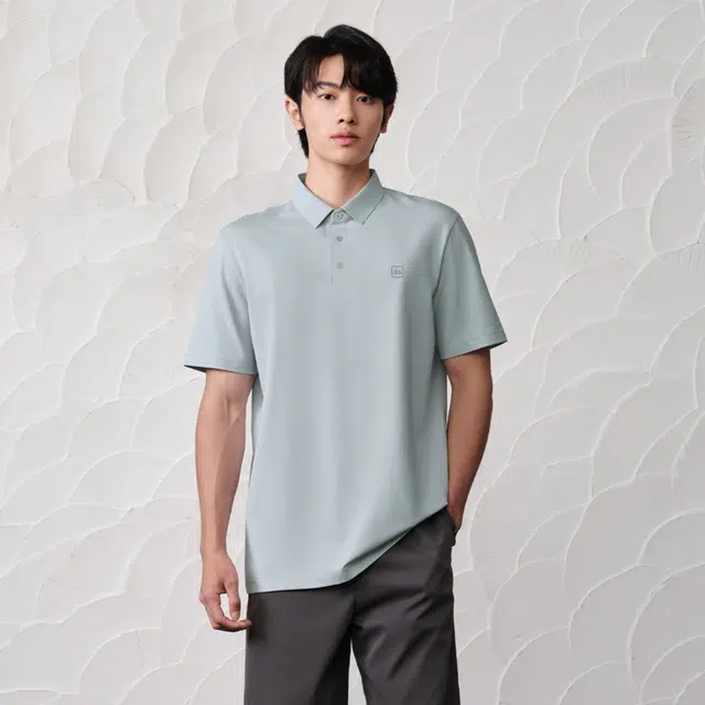 HLA POLO