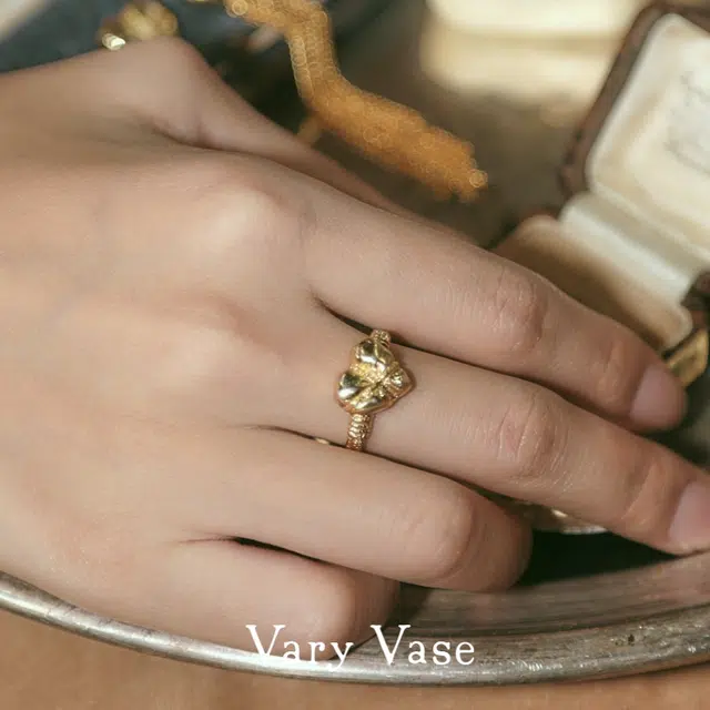 VARYVASE