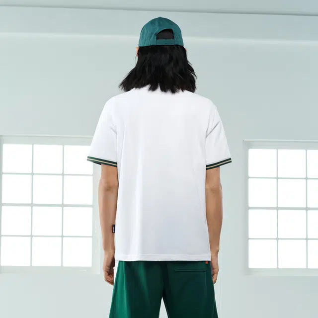 HLA POLO