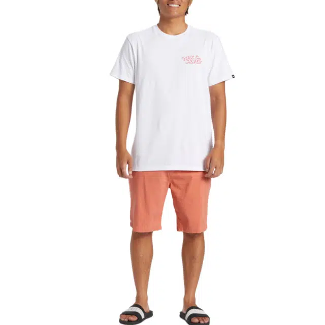 Quiksilver Everyday Union Light