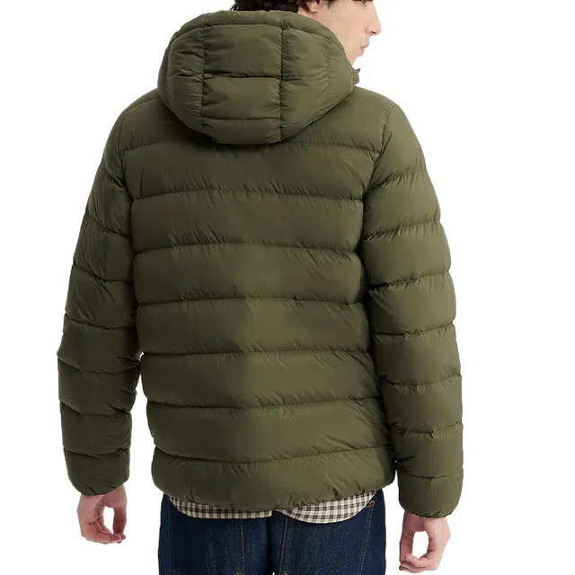 AIGLE