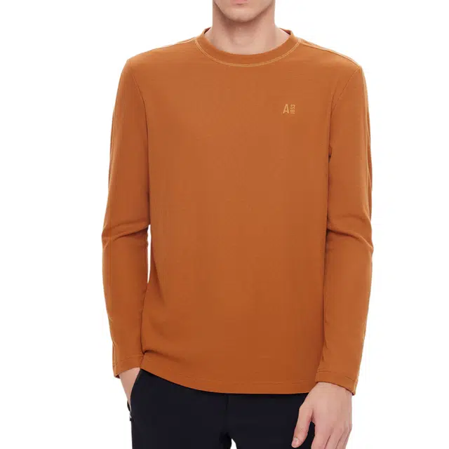 AIGLE T