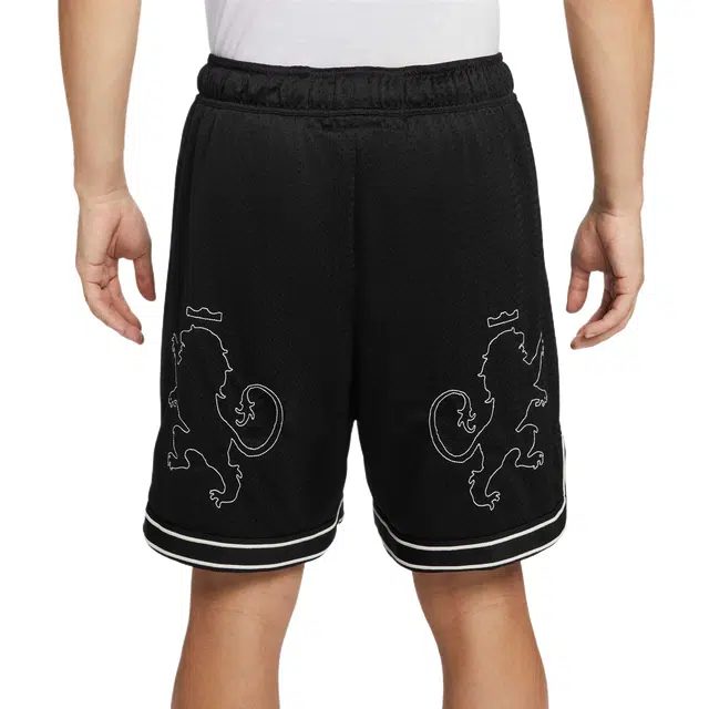 Nike Swoosh LeBron