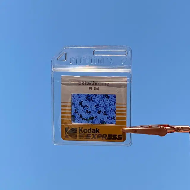 弗洛康 紫色的花儿反转胶片 照片挂饰 谷圈挂件