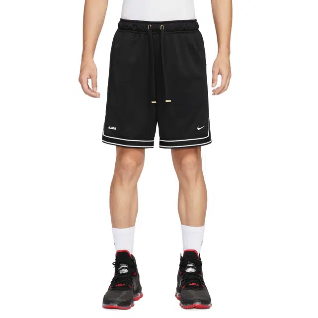 Nike Swoosh LeBron