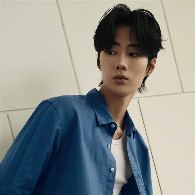 佐丹奴 韩国款天然麻棉梭织休闲长袖衬衫 男款