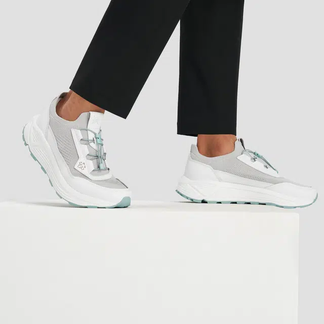 DESCENTE DUALIS