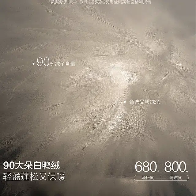 PEACEBIRD MEN Black Gold Down Jacket