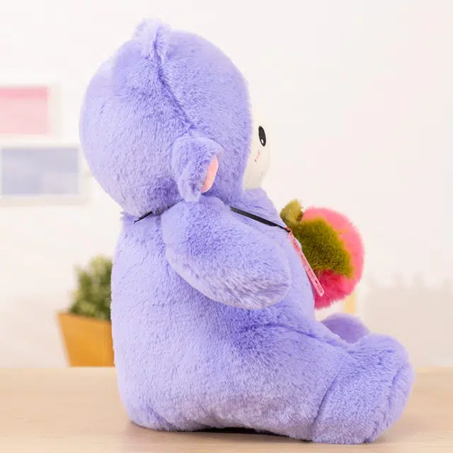 42cm60cm