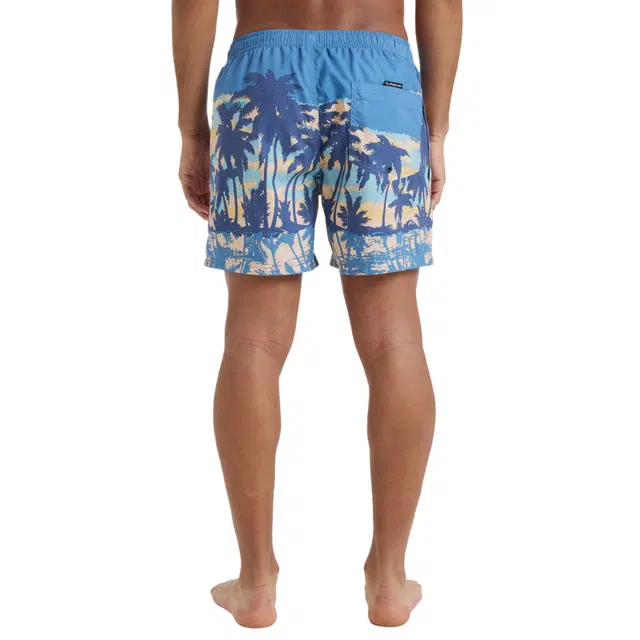Quiksilver Everyday Straight
