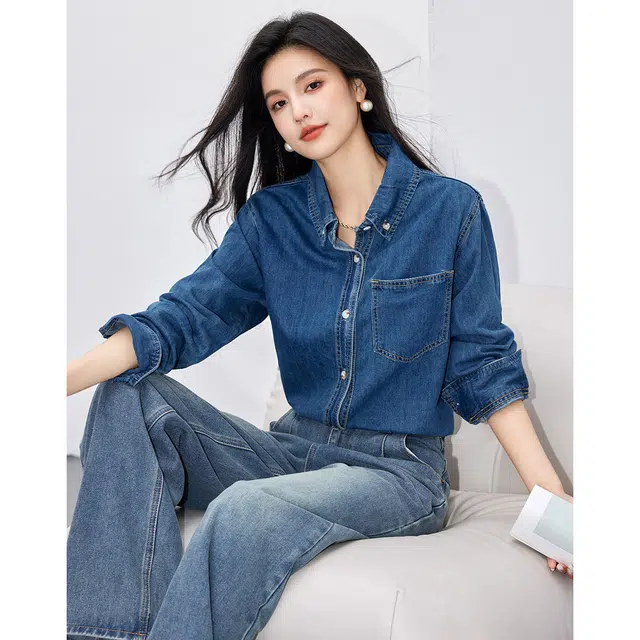 爱依莲 春秋季 时尚百搭高级经典复古长袖衬衫 女款 蓝色