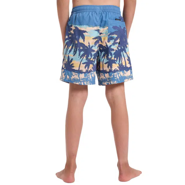 Quiksilver Everyday
