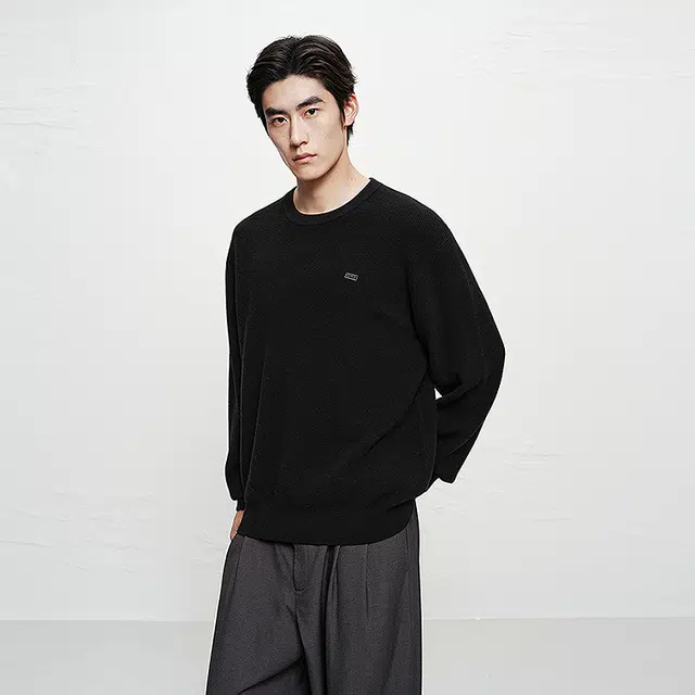 PEACEBIRD MEN Wool Pullover Sweater