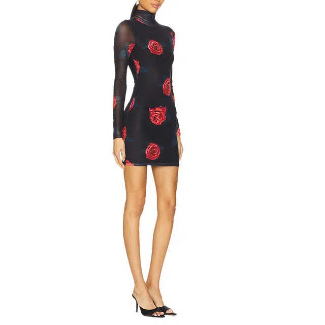 SUPERDOWN Liora Mini Dress