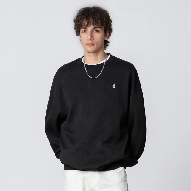 金盾 春秋季男外套套头衫复古字母秋季款圆领刺绣卫衣 男款