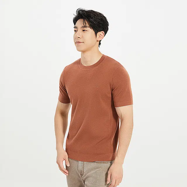 利郎 都市休闲圆领修身短袖打底衫毛衣 男款