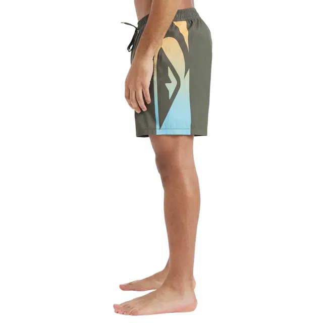 Quiksilver Everyday Holmes