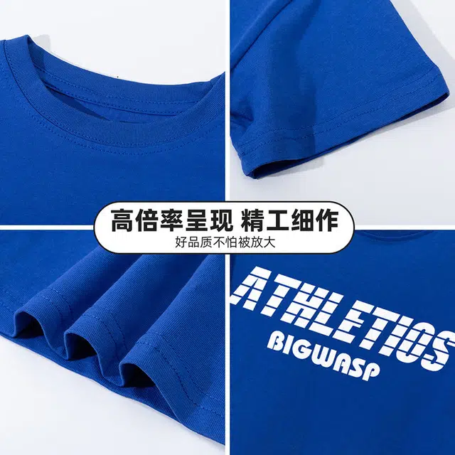 BIG WASPT