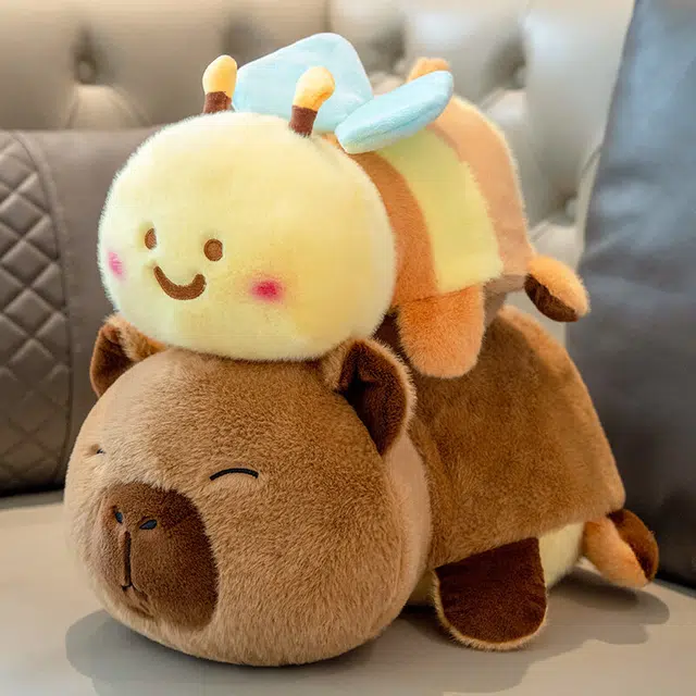 25cm35cm