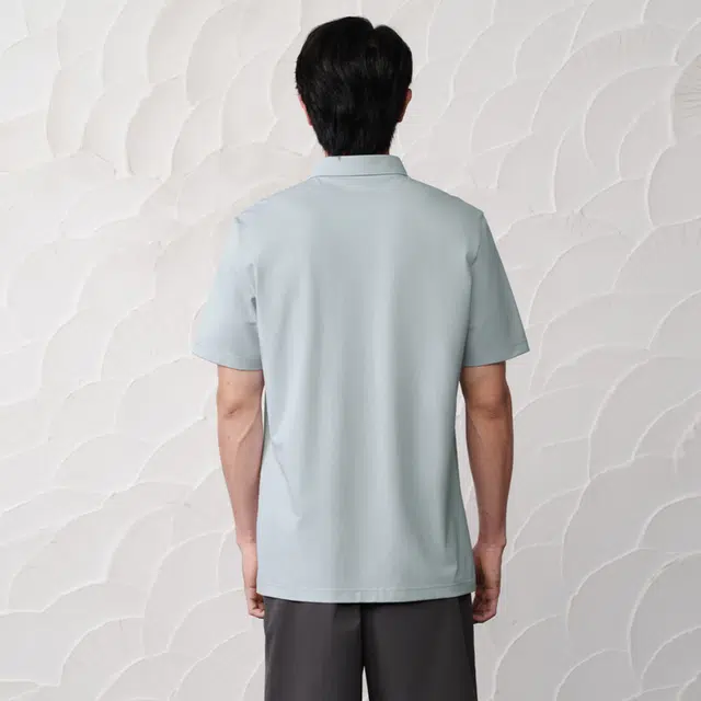 HLA POLO