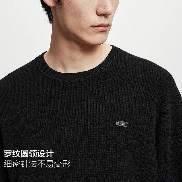 PEACEBIRD MEN Wool Pullover Sweater