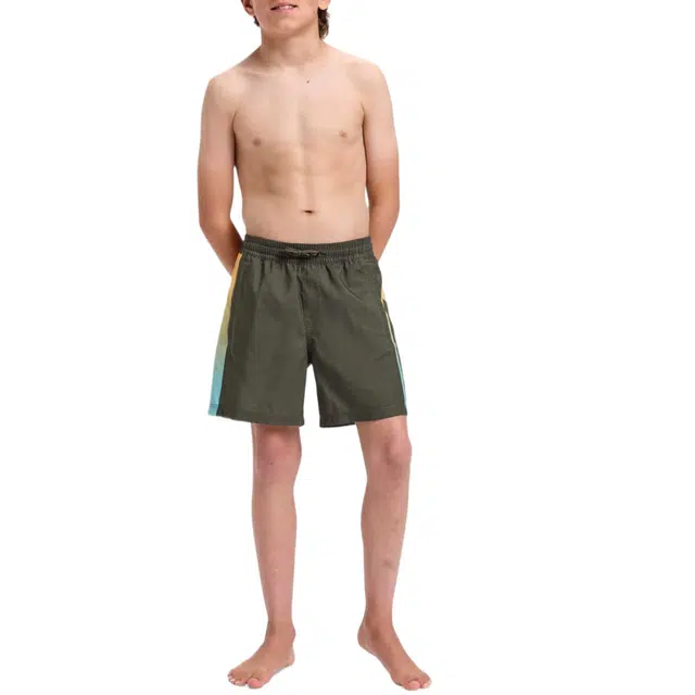 Quiksilver Everyday Holmes