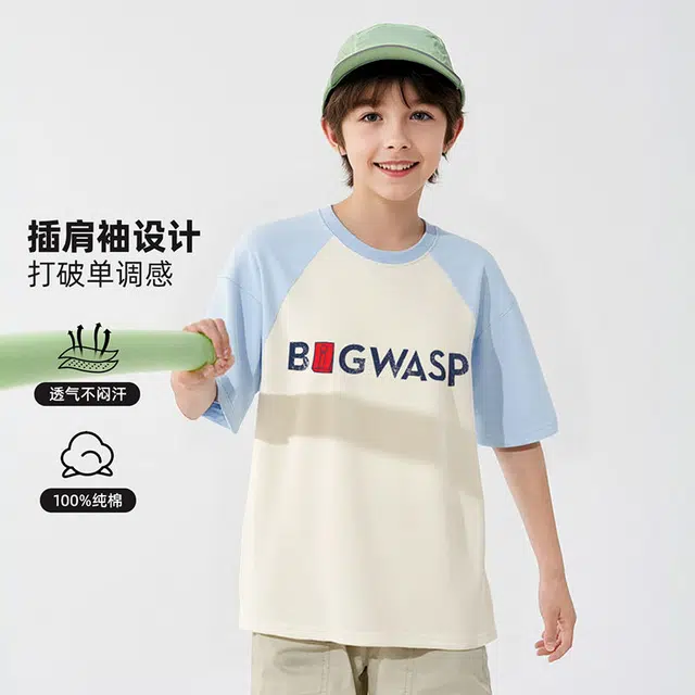 BIG WASPT