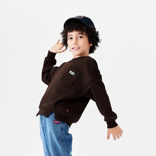 levis LVC